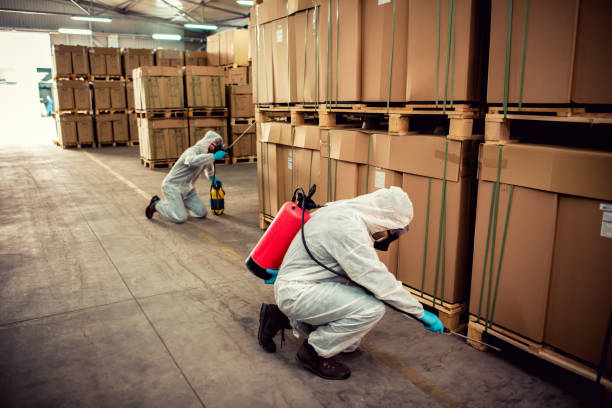 Best Pest Control Treatment  in Athens, TX