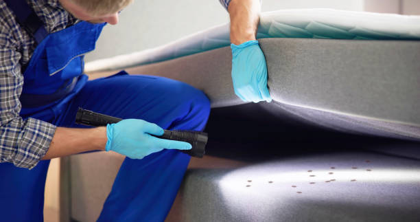 Best Pest Prevention Services  in Athens, TX