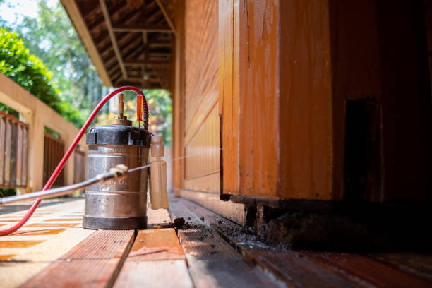 Pest Prevention Services in Athens, TX