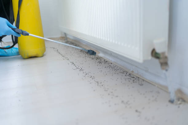 Best Wasp Removal Services  in Athens, TX