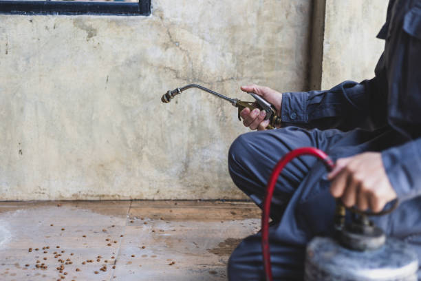 Best Affordable Exterminators  in Athens, TX